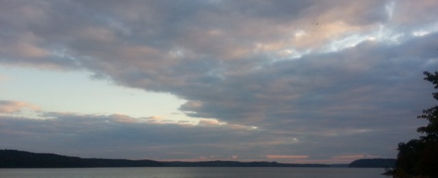 Organization Photo  (74172)