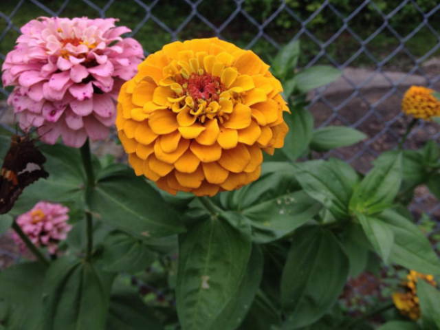 Organization Photo  (73994)