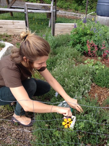 Organization Photo  (73953)