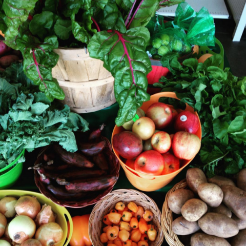 Organization Photo  (73951)