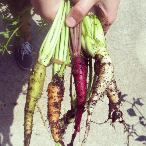 Organization Photo  (73955)