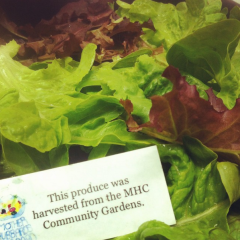 Organization Photo  (73958)