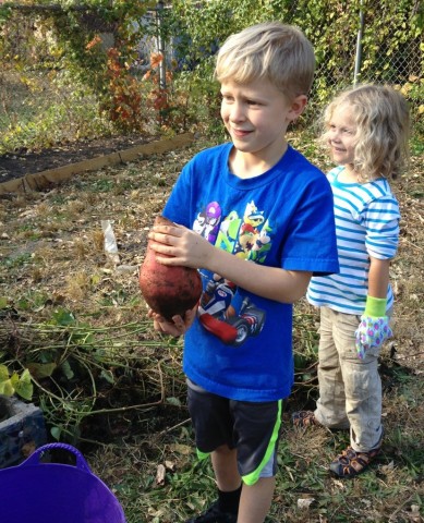 Organization Photo  (73996)