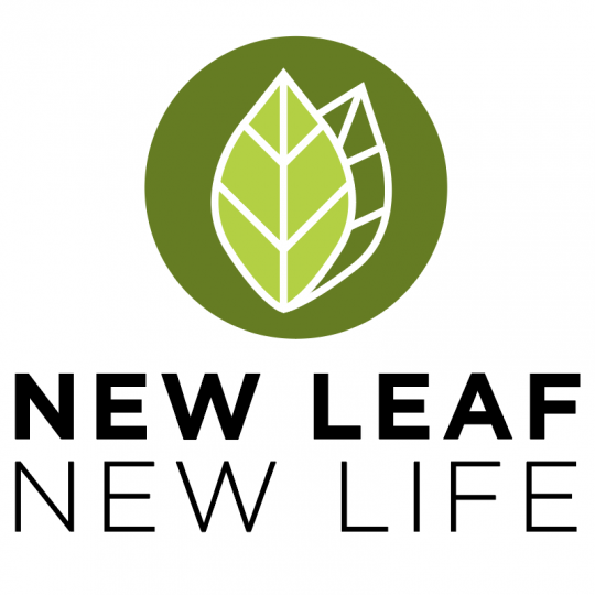 Organization Logo