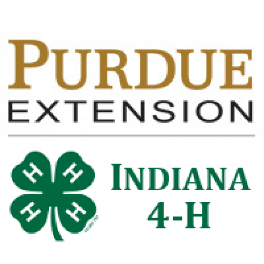 Organization Logo