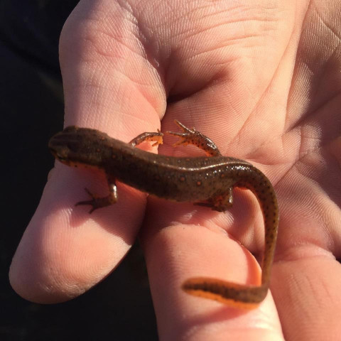 Organization Photo  (124452)