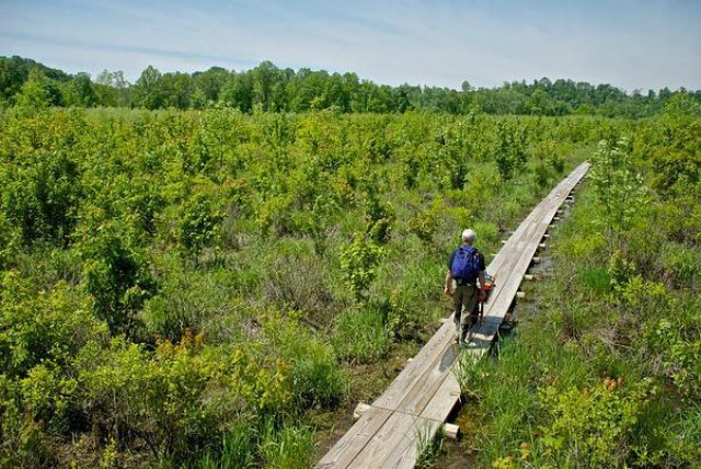 Organization Photo  (124454)