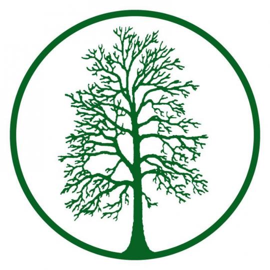 Organization Logo