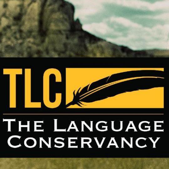 Organization Logo