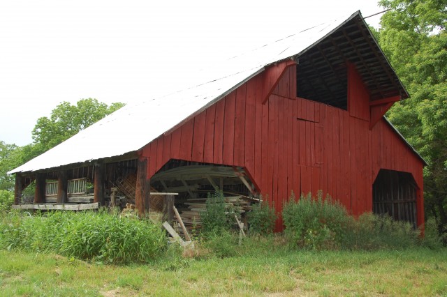 Organization Photo  (94372)