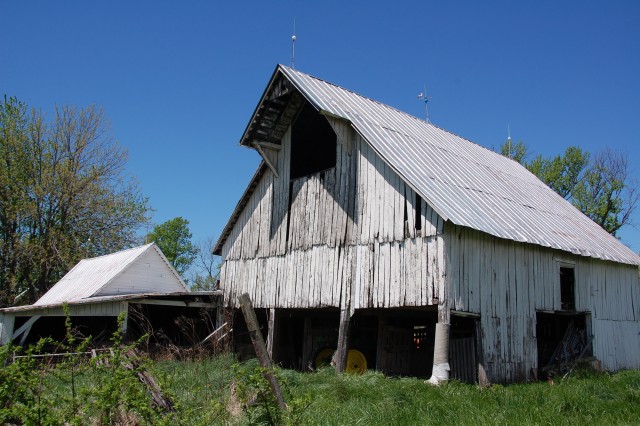 Organization Photo  (94375)