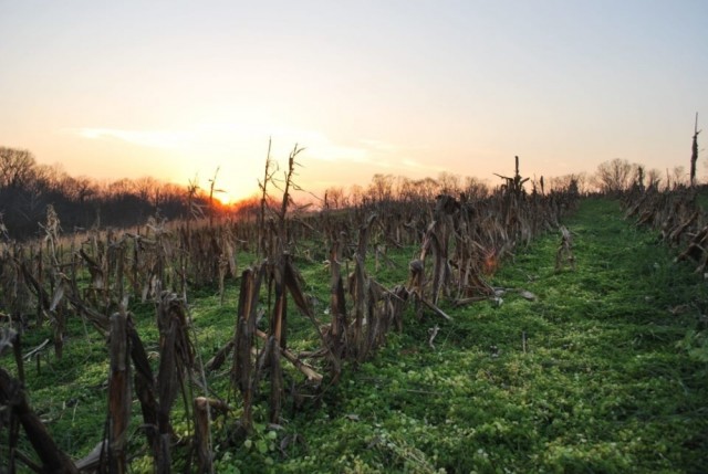 Organization Photo  (97085)