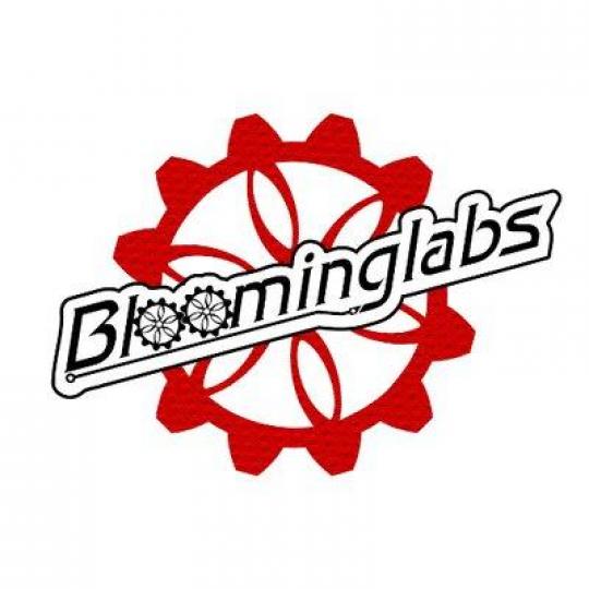 Organization Logo