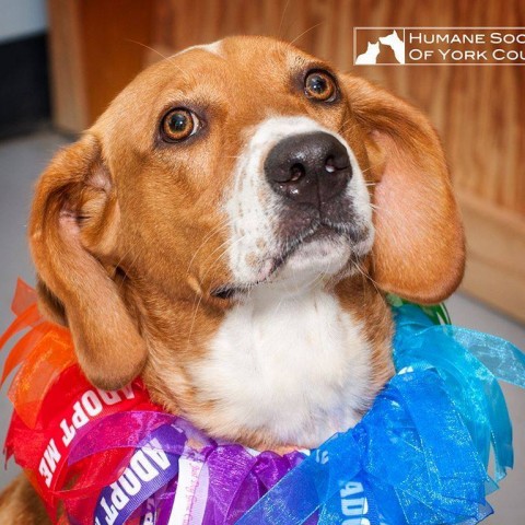 Agency Photo  (73575)