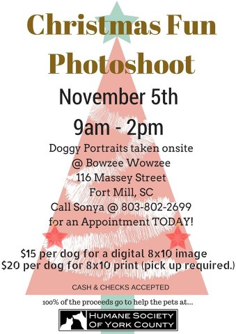 Agency Photo  (73569)