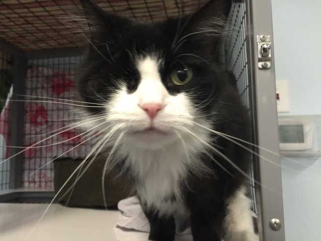 Agency Photo  (73573)