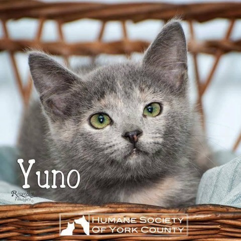 Agency Photo  (73572)