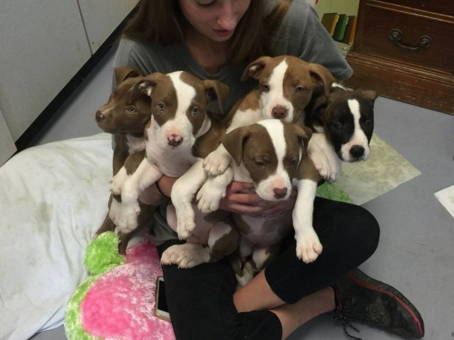 Agency Photo  (73570)