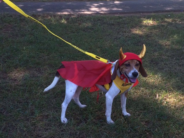 Agency Photo  (73576)