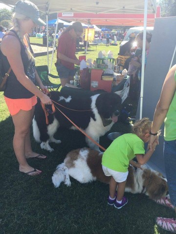 Agency Photo  (73574)