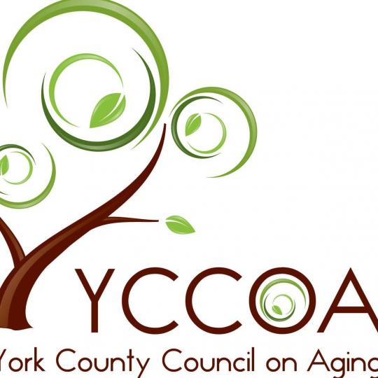 Agency Logo