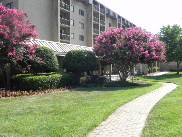 Agency Photo  (149556)