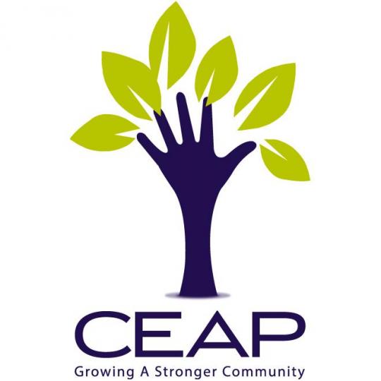 Nonprofit Logo