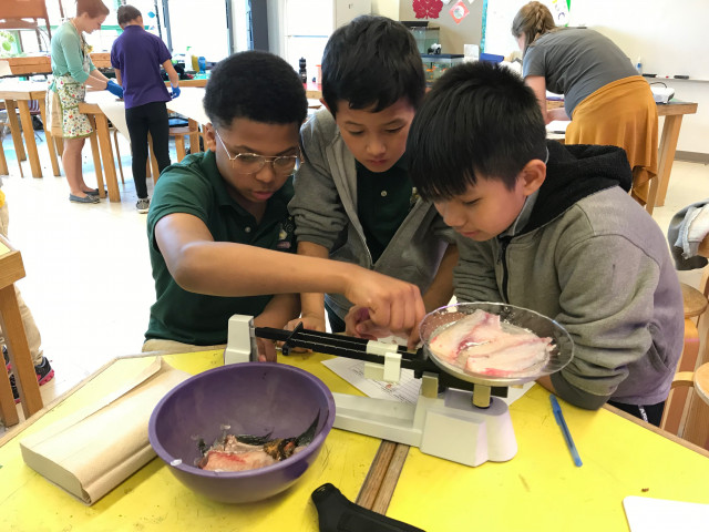 Nonprofit Photo  (144825)