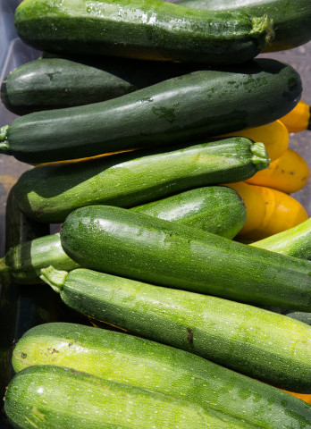 Nonprofit Photo  (146571)