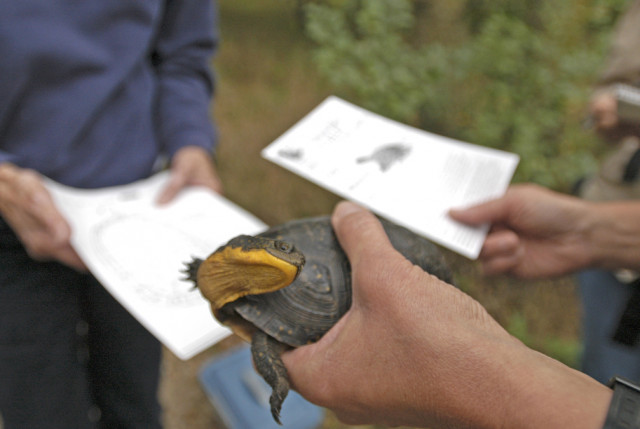 Nonprofit Photo  (149204)
