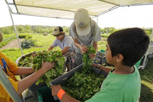 Nonprofit Photo  (149200)