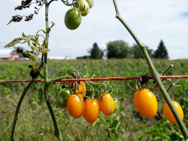 Nonprofit Photo  (152222)