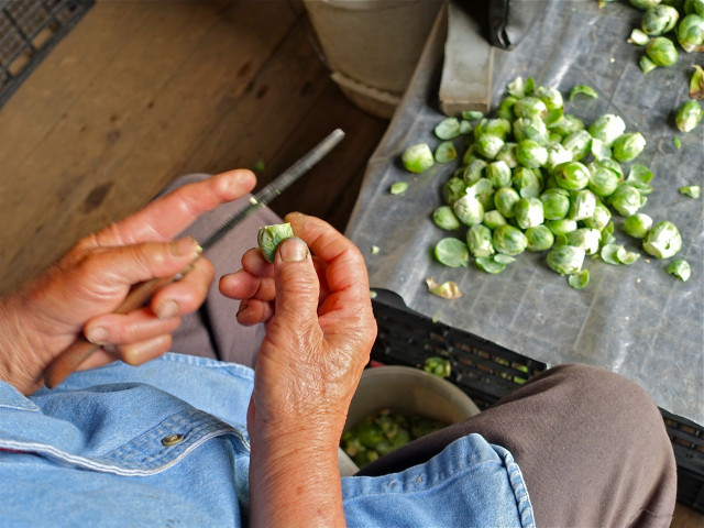 Nonprofit Photo  (152226)