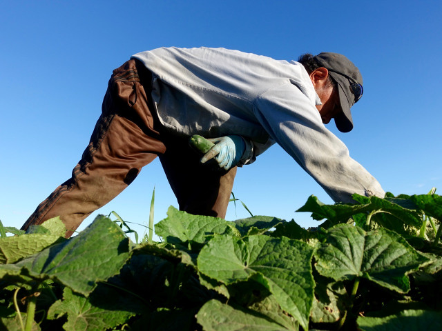 Nonprofit Photo  (152221)