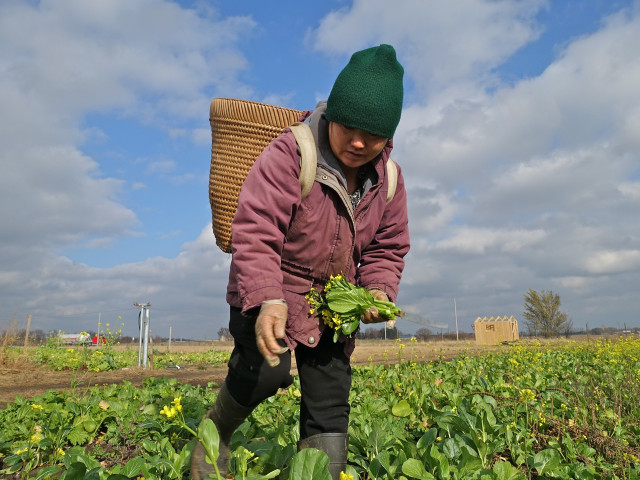 Nonprofit Photo  (152227)