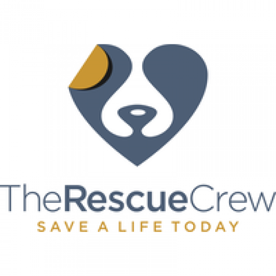 Nonprofit Logo