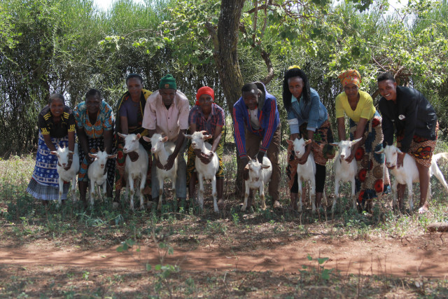 Nonprofit Photo  (164384)