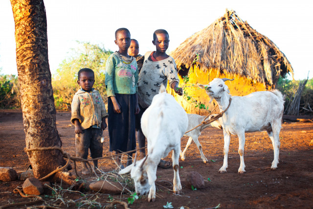 Nonprofit Photo  (164380)