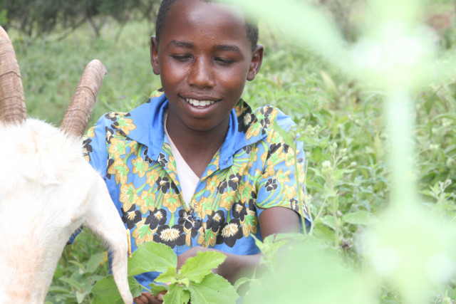 Nonprofit Photo  (164370)