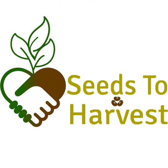 Nonprofit Logo
