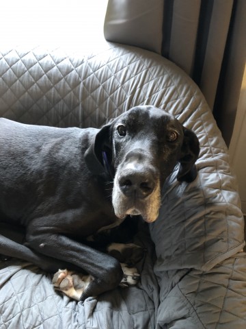 Nonprofit Photo  (178933)