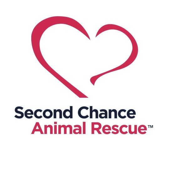 Nonprofit Logo
