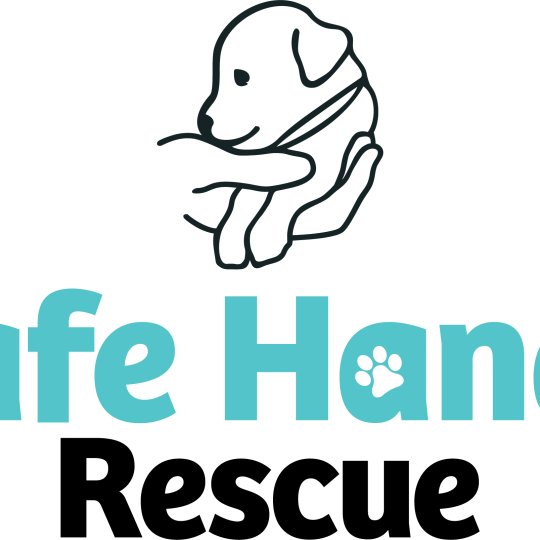Nonprofit Logo