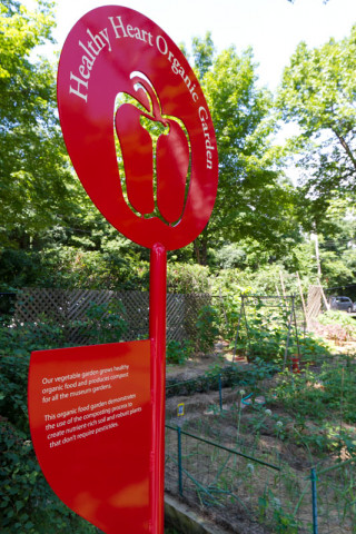 Nonprofit Photo  (124271)