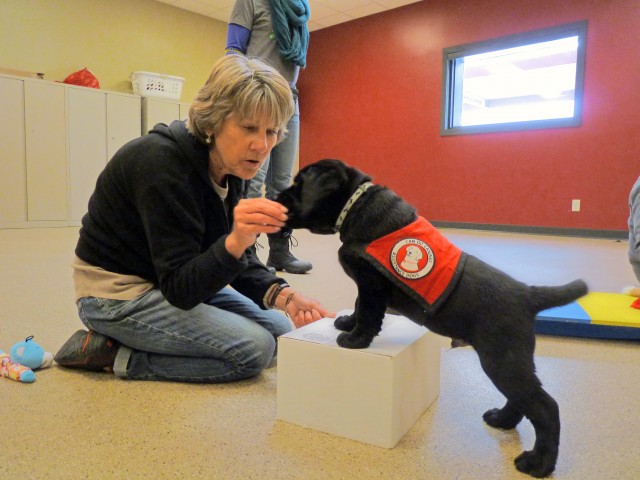 Nonprofit Photo  (77441)