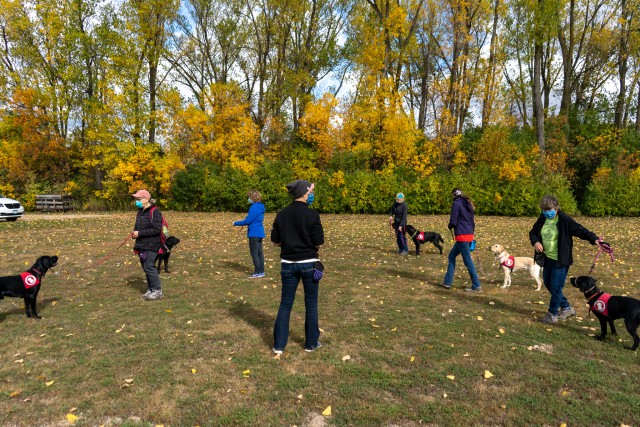 Nonprofit Photo  (201594)