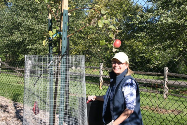 Nonprofit Photo  (100357)