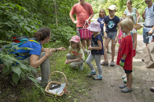 Nonprofit Photo  (126143)