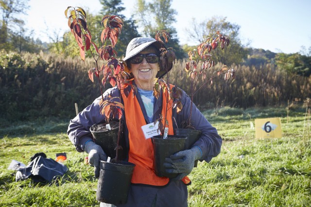 Nonprofit Photo  (78645)