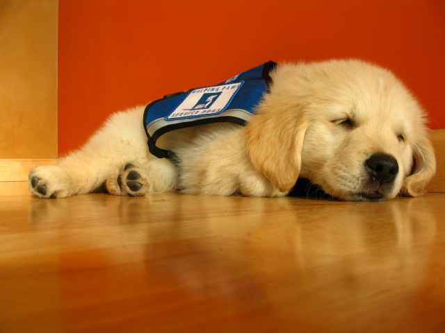 Nonprofit Photo  (83503)